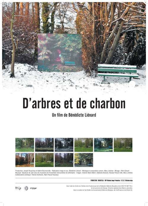 D’ARBRES ET DE CHARBON